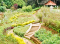 SIMS PARK, COONOOR