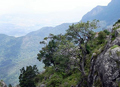 LAMB'S ROCK, COONOOR