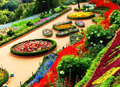 BOTANICAL GARDEN, OOTY