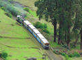 THE FERNHILLS PALACE, OOTY